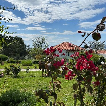 Mari E Monti Διαμέρισμα PalaiónTsiflíkion Εξωτερικό φωτογραφία