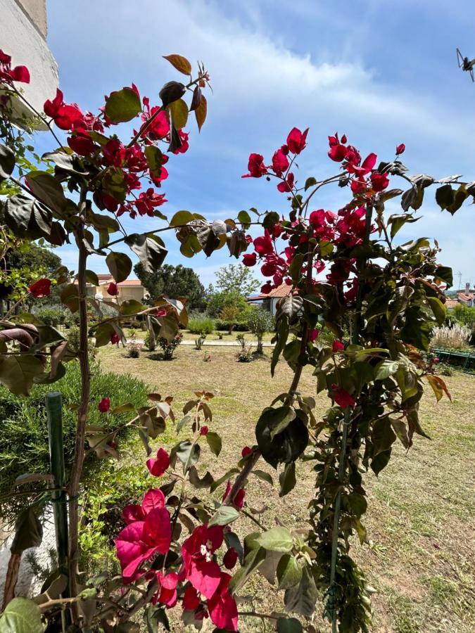 Mari E Monti Διαμέρισμα PalaiónTsiflíkion Εξωτερικό φωτογραφία